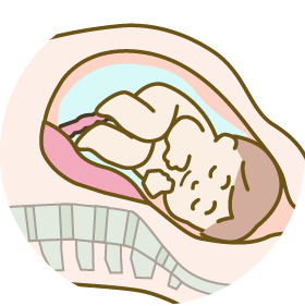イラスト